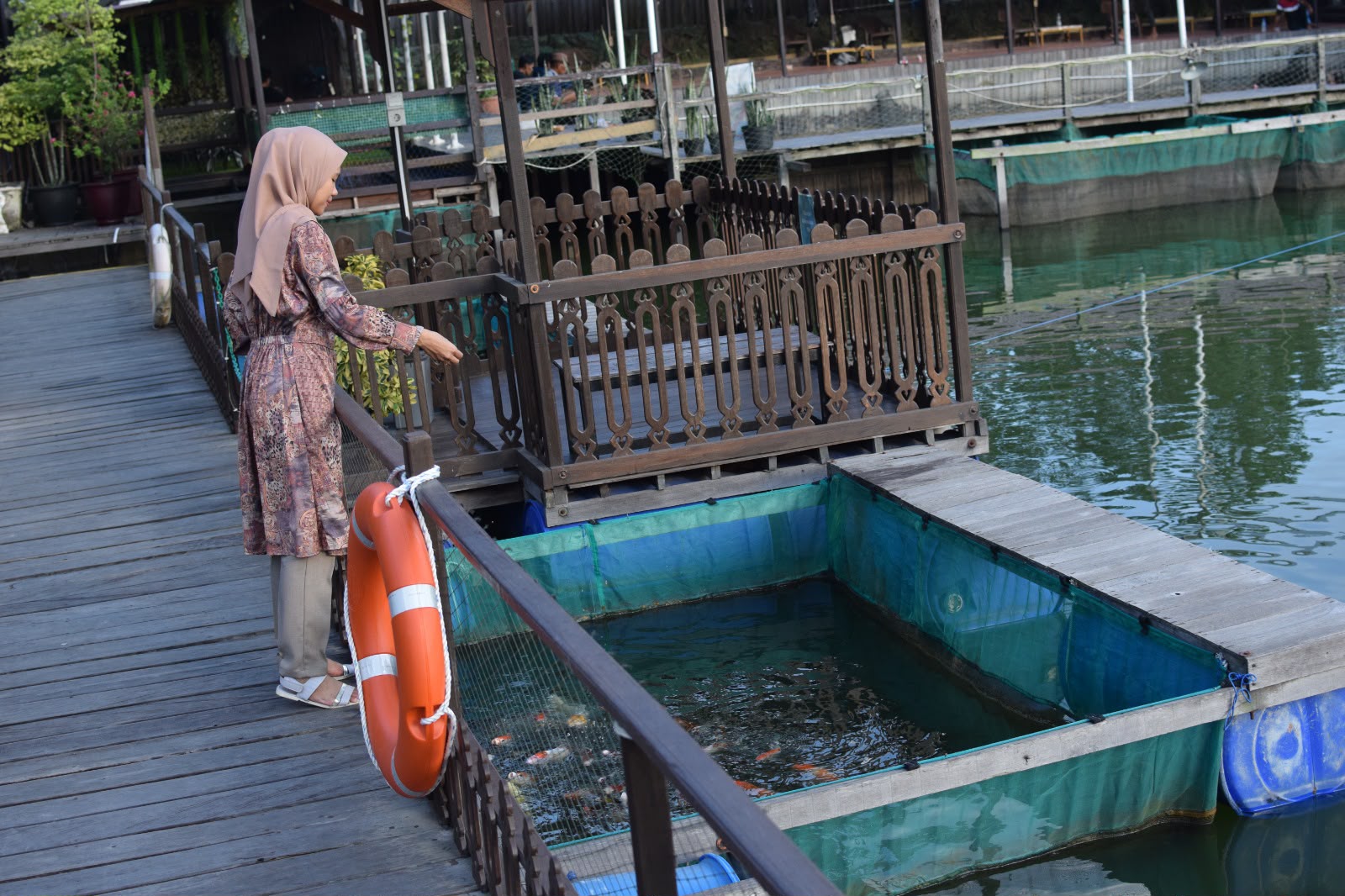 Seorang pengunjung mengamati ikan hias di salah satu keramba terapung Teras Alam Ulin, Samarinda, Selasa (7/7/2026). Selain kolam terapi ikan, pengelola juga menyediakan keramba ikan hias yang dapat diberi makan pengunjung. Foto: Fatih/Kaltimkece.id